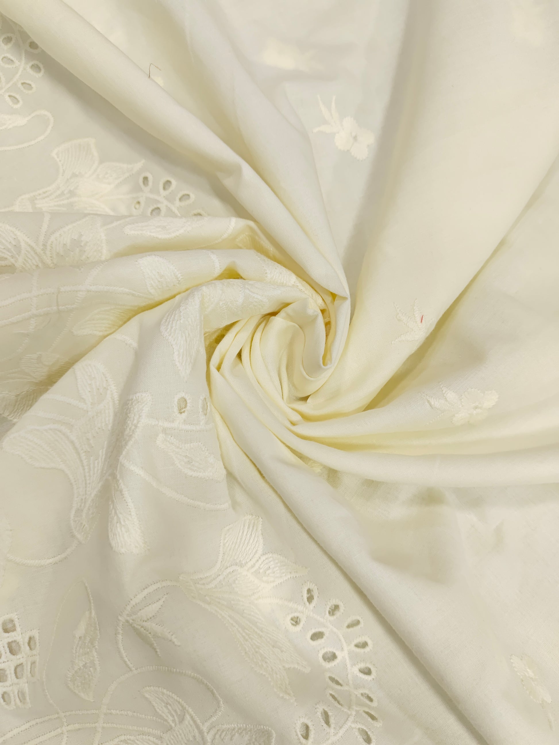 Cream fabric with Daman cut work embroidery