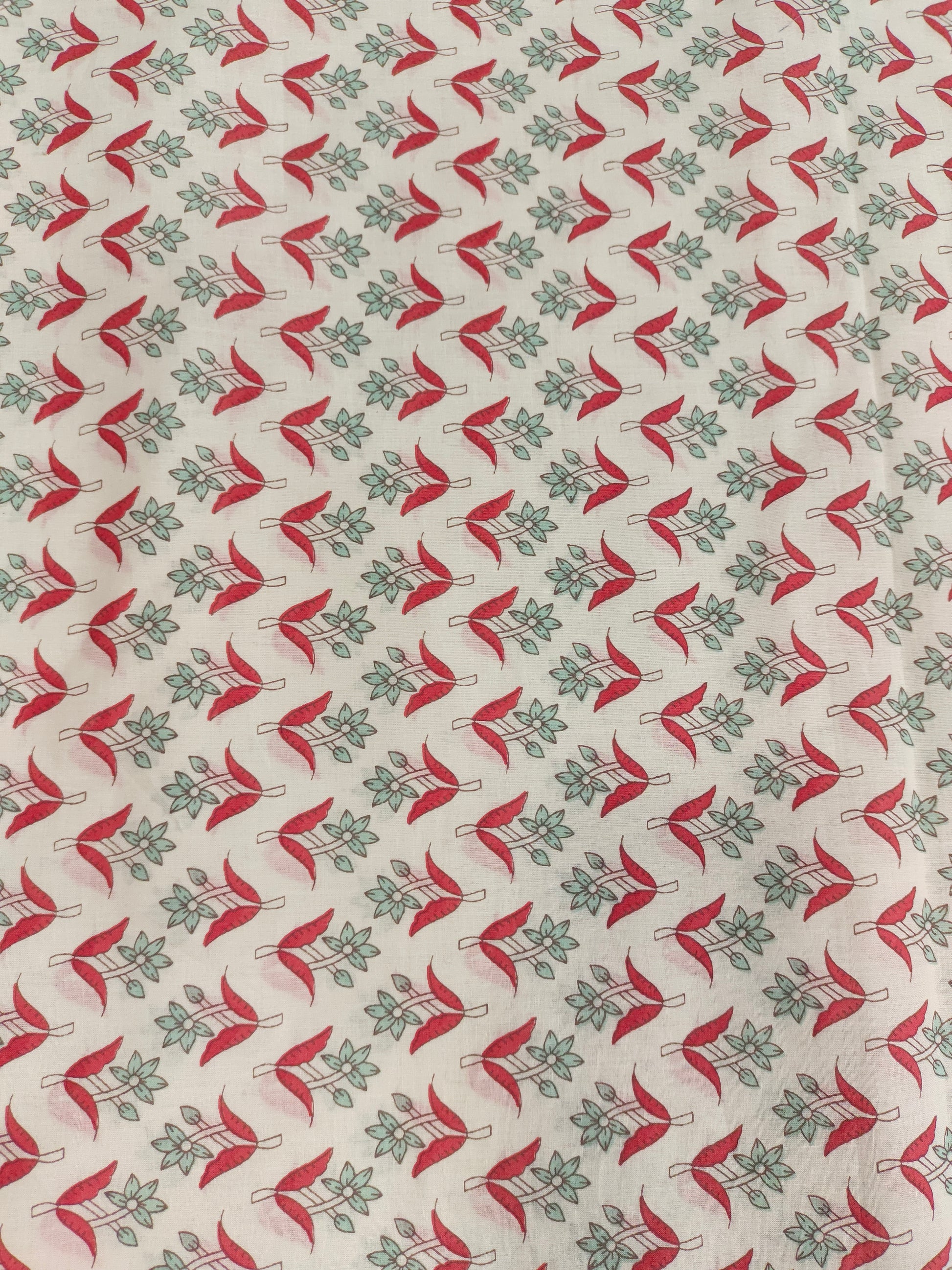 Cotton print with light green and tomato color